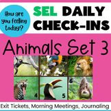 Animals Set #3 | SEL Check-ins - Social Emotional Learning