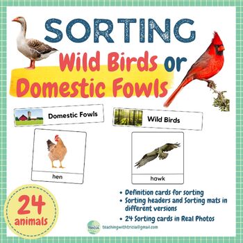 Animals Sorting - Wild Birds or Domestic Fowls (Real Photos) | TPT