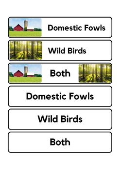 Animals Sorting - Wild Birds or Domestic Fowls (Real Photos) | TPT