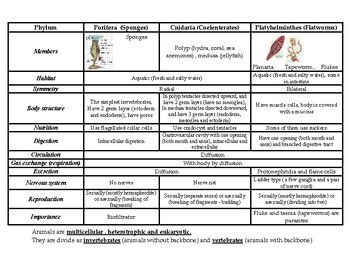 Preview of Animal Kingdom Overview: A Detailed Chart on Phyla and Their Characteris