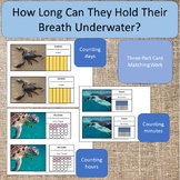 Animals That Can Hold Their Breath Underwater! Animal Stud