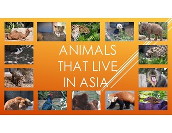 Preview of Animals That Live In Asia: Pictures, diet, habitat, attributes, and babies.