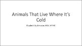 Animals That Live Where It's Cold:  An original songwritin