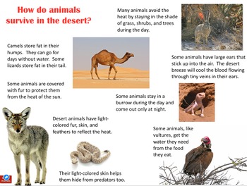 Animals & Their Habitats, Keynote Presentation, Part Two | TPT