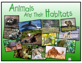 Preview of Animals & Their Habitats, PDF version of Keynote Presentation, Part One