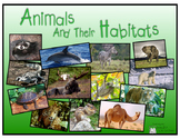 Animals & Their Habitats, PDF version of Keynote Presentat