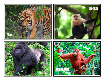 Preview of Animals & Their Habitats, Picture Files