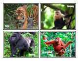 Animals & Their Habitats, Picture Files