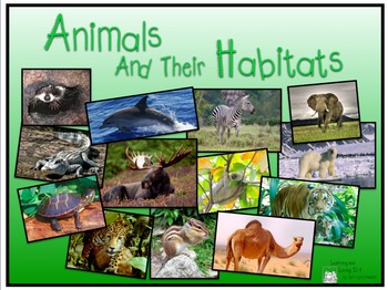 Preview of Animals & Their Habitats, Powerpoint Presentation, Part Two