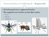 Animals Unit; Animal Behaviors and Types