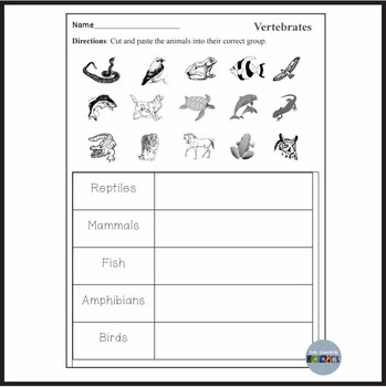 Vertebrate Graphing and Worksheet Packet by Dr Dave's Science | TpT