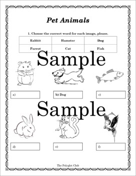Animals - Vocabulary Worksheet (English) by The Polyglot Club | TPT
