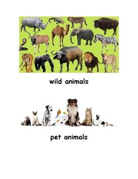 Preview of Animals: What Can They Do?