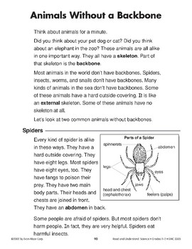 Animal Backbones Teaching Resources | TPT