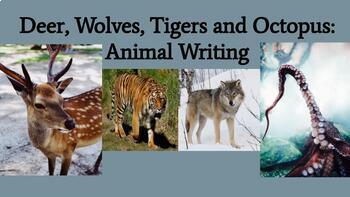 Preview of Animals: Wolves, Deer, Octopuses and Tigers: Informational Writing