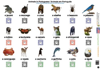 animals portuguese objects common spelling audio original