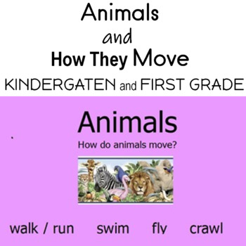 Preview of Animals and How They Move