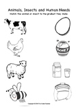 Animals and Human Needs (Match and Colour Worksheet)