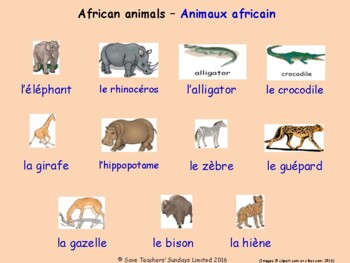 Preview of Animals and Nature in French Posters / Slides