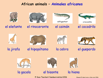 Preview of Animals and Nature in Spanish Posters / Slides
