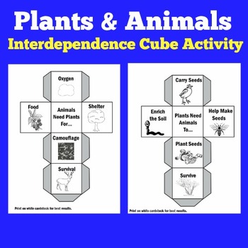 Plants and Animals | Worksheet Kindergarten 1st 2nd 3rd Grade Craft Activity