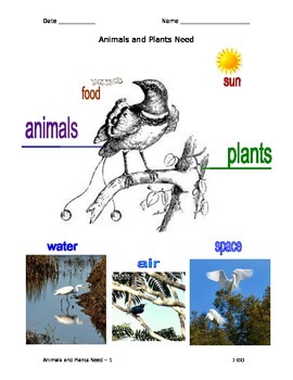 Preview of Animals and Plants Need - Illustrated Graphic Organizer
