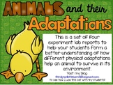 Animals and Their Adaptations: A Set of Hands On Experiments