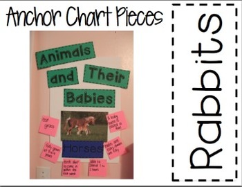 Chart Of Animals And Their Babies