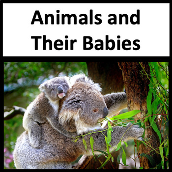 Preview of Animals and Their Babies - NGSS 1-LS1-2 1-LS3-1 - Parents and Offspring