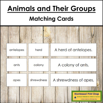 Montessori Homeschool GROUPS OF ANIMALS Science Naming Card Matching Material