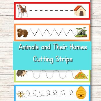Animals And Their Homes Teaching Resources | TPT