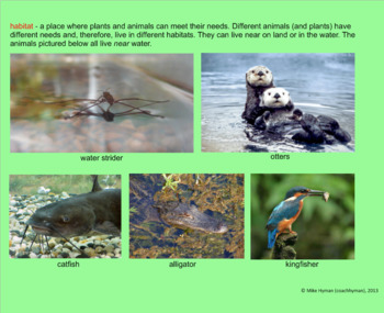 Animals and Their Land Habitats - A Second Grade PowerPoint Introduction
