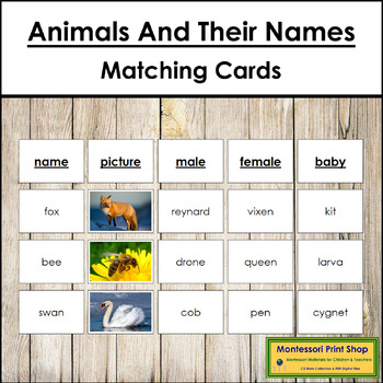 Montessori Homeschool GROUPS OF ANIMALS Science Naming Card Matching Material