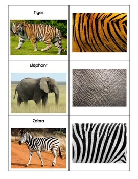 Animals and Their Skin Textures by My Teaching Inspiration | TPT