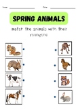 Animals and their Babies worksheets- Farm Animals - Spring