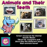 Animals and Their Teeth Cards