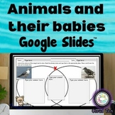 Animals and their babies in Google Slides™ 