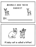 Animals and their babies read and color book