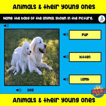 Animals And Their Young Ones Baby Animals Pre K Kindergarten Ela Vocabulary