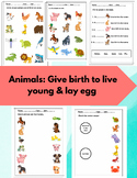 Animals birth exercises: give birth to live young and lay eggs