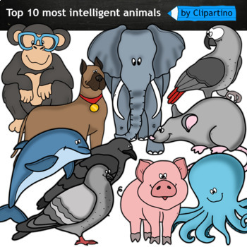 Animals clipart FREEBIE-Elephant, Monkey, Pig, Dog, Mouse, Octopus, Clipart  Free