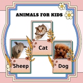 Animals for kids