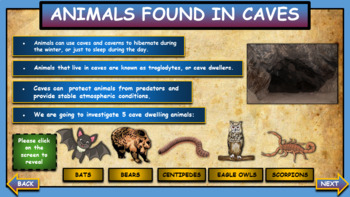 Animals found in caves: Interactive Google Slides + PPT + Worksheet