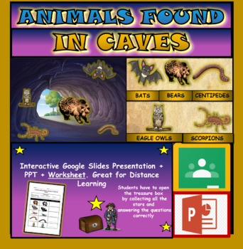 Preview of Animals found in caves: Interactive Google Slides + PPT + Worksheet