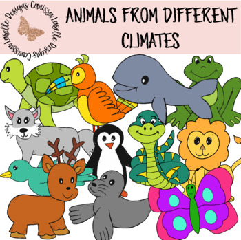 Animals Temperate Climate Teaching Resources | TPT