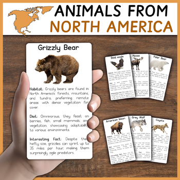 Preview of Animals from North America | North American Animals | Flashcards | Informational