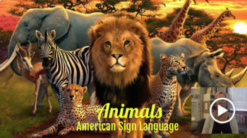 Preview of Animals in ASL (American Sign Language) Google Presentation with VIDEOS!