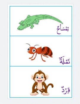 Preview of Animals in Arabic- Flash cards