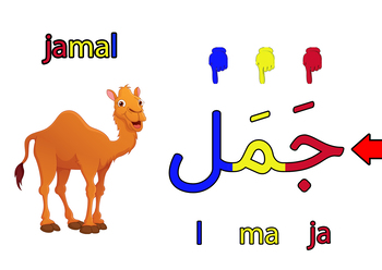 Preview of Animals in Arabic Video