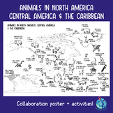 Animals in North America, Central America & The Caribbean: